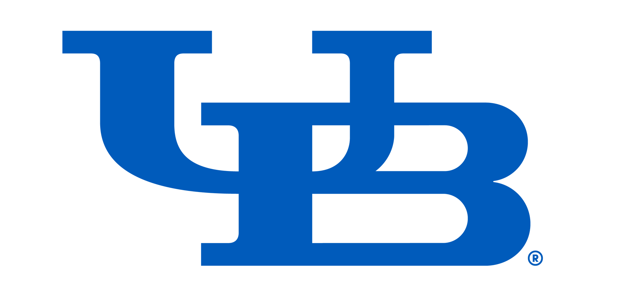 Data, Decision & Risk Lab, University at Buffalo